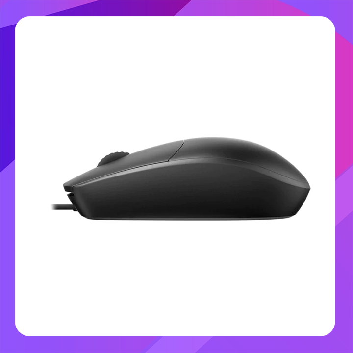 Rapoo N100C Type-C Wired Mouse (Black)