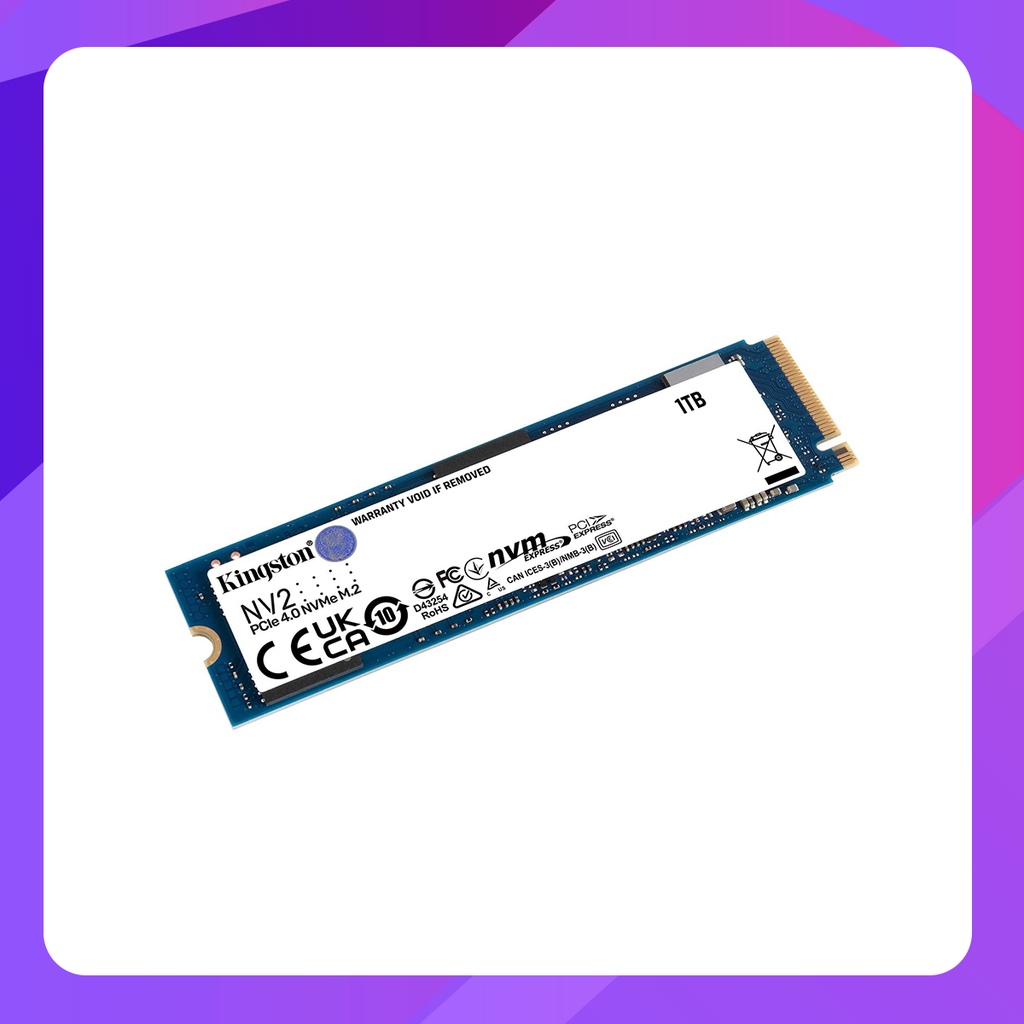 Kingston NV2 PCIe 4.0 NVMe M.2 Memory(1TB)