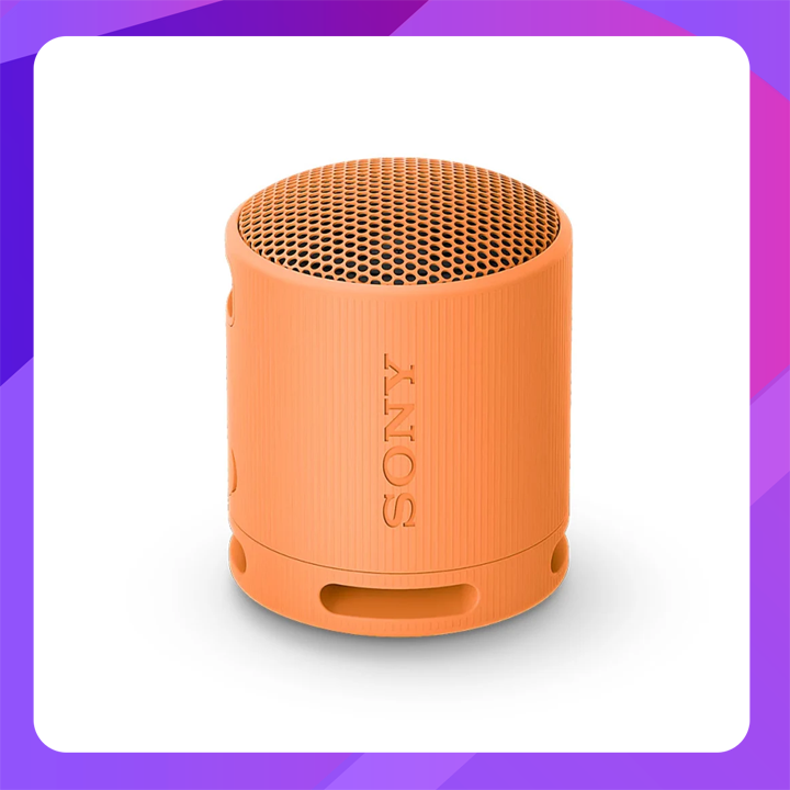 SONY SRS-XB100 Compact Bluetooth Wireless Speaker (Black)