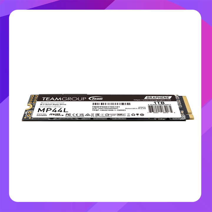 Team MP44L M.2 PCIe Internal SSD (1TB)