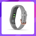 Garmin Vivosmart 4 Merlot/Rose Gold