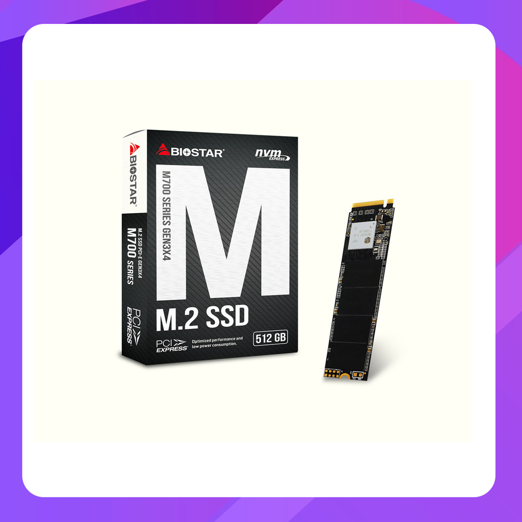Biostar M720 m2 NVMe SSD