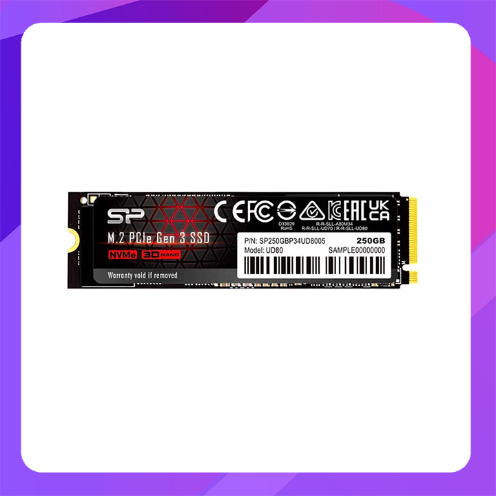 SP UD80 M2 PCIe SSD