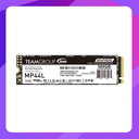 Team MP44L M.2 PCIe Internal SSD (500GB)