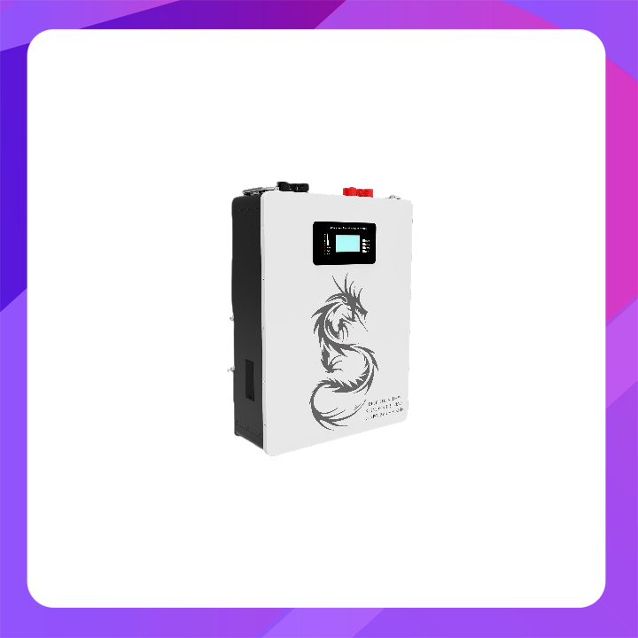 Dragon Power DPLB-51100-LFP-W  LiFePO4 Battery Module