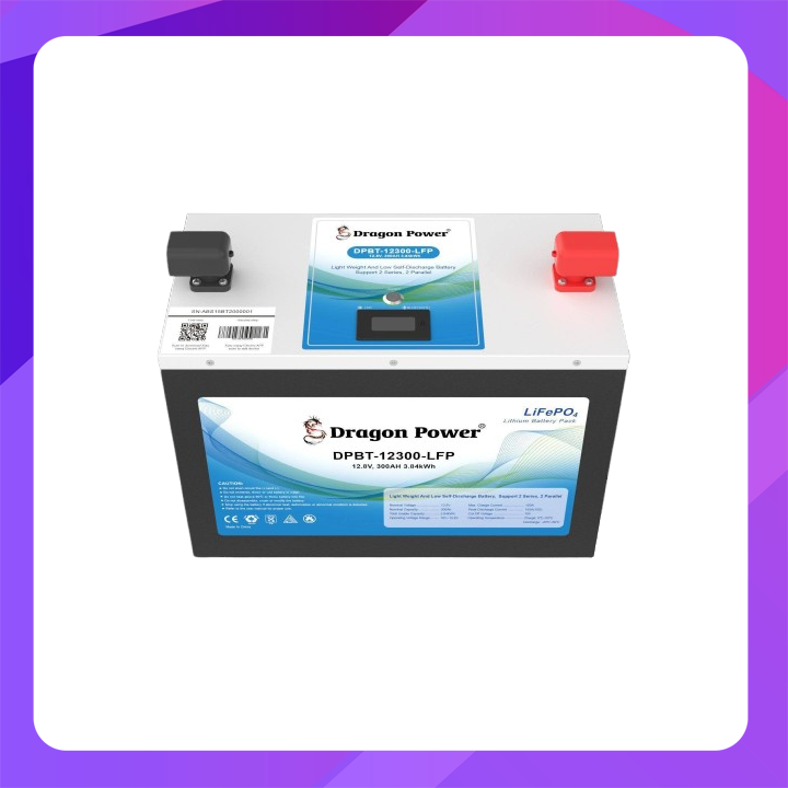 Dragon Power DPBT- 12300-LFP  12.8V 300AH