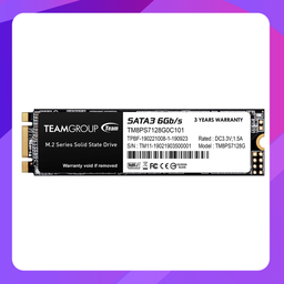 [TM8PS7128G0C101] Team MS30 (M.2 SSD SATAIII) 2280 