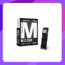 [M720-256GB] Biostar M720 m2 NVMe SSD