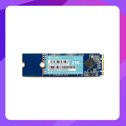 [ON1000 NVMe/256GB] Memory Ghost ON1000 M.2 NVMe 2280 Gen3x4 SSD (256GB)