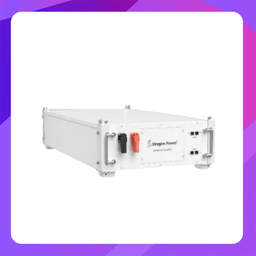 [DPHB-102100-LFP-R] Dragon Power DPHB-102100-LFP-R High Voltage LifePO4 Battery