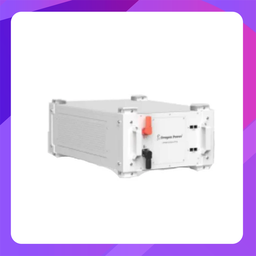 [DPHB-64300-LFP-R] Dragon Power DPHB-64300-LFP-R High Voltage LifePO4 Battery